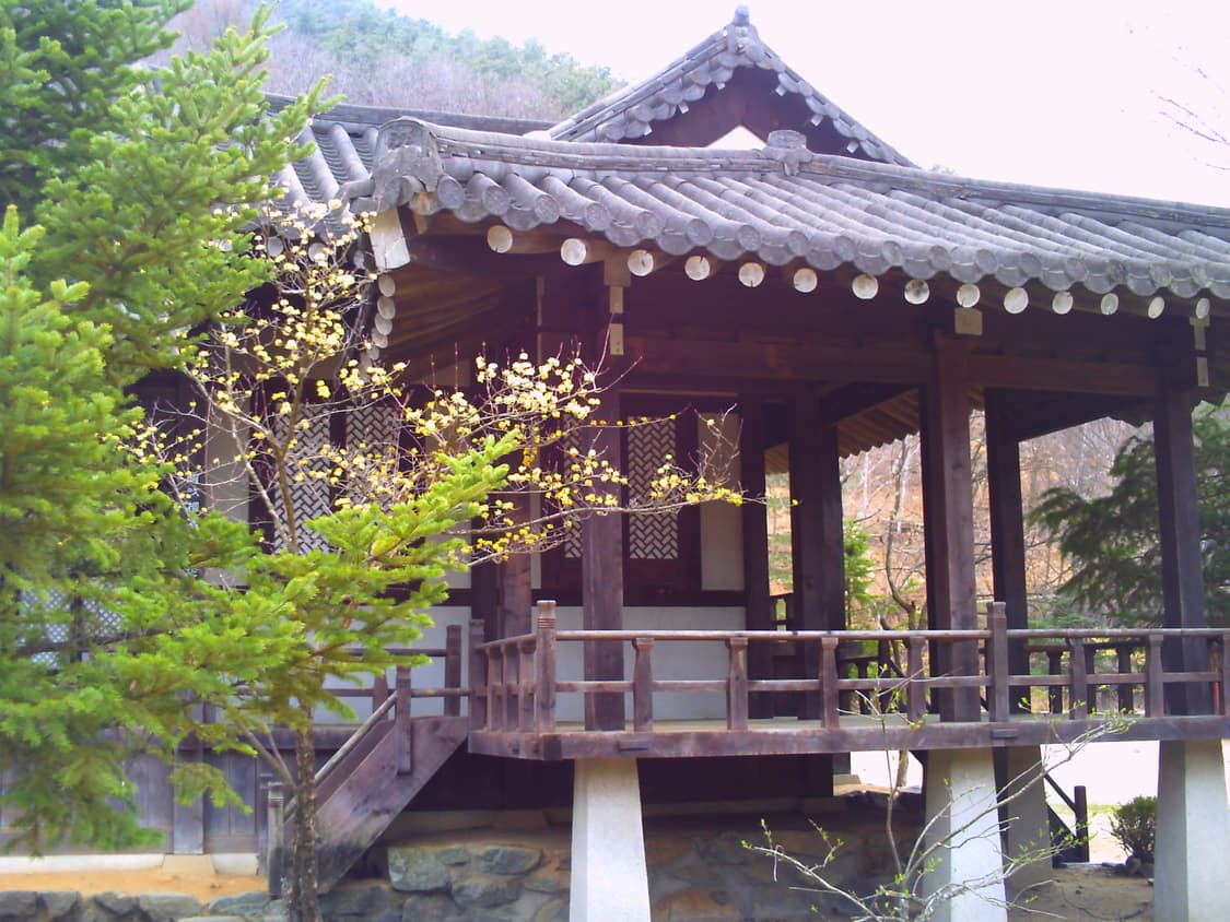 작례O vivitar 비비캠 vc5050  상품이미지8