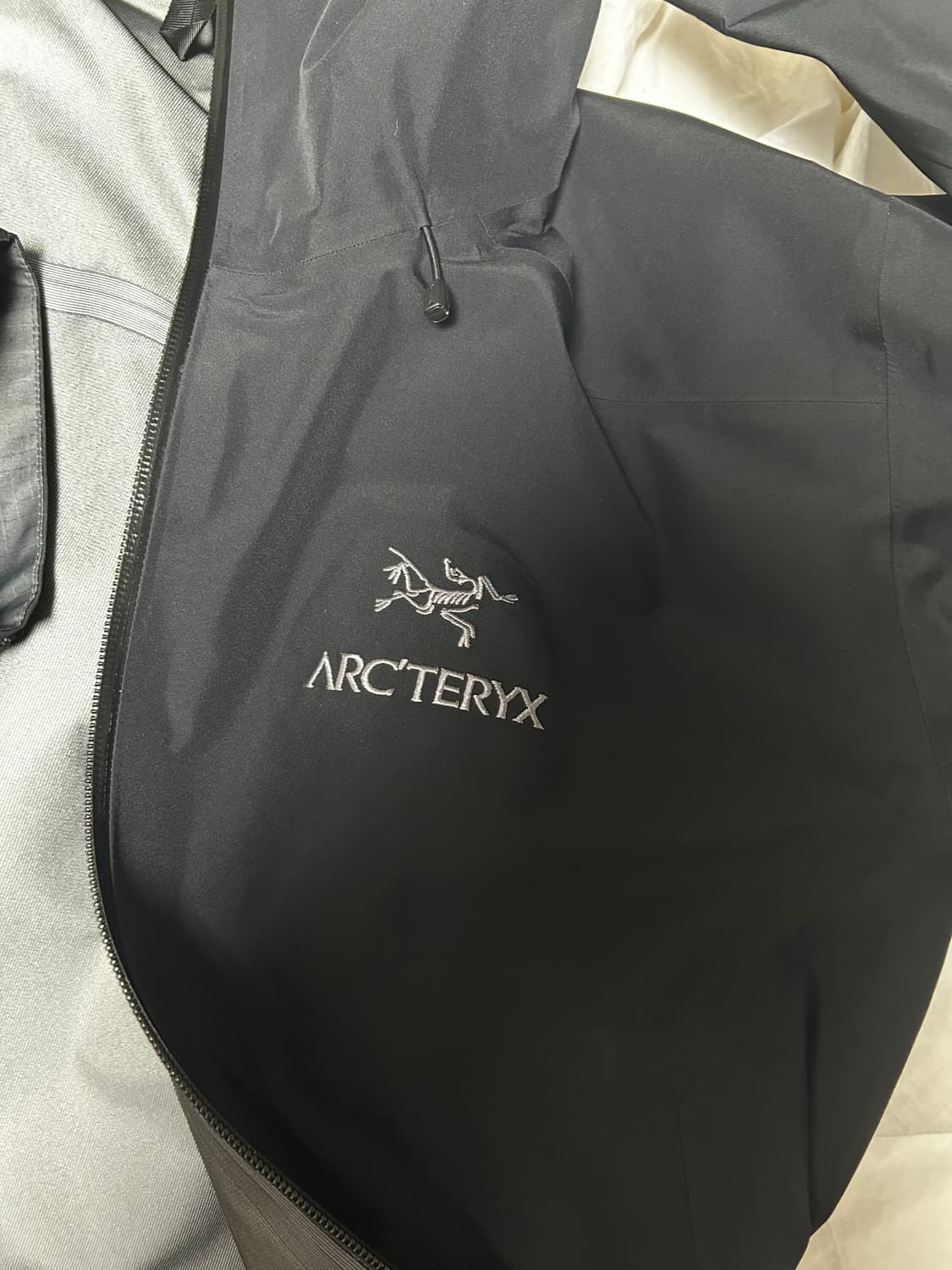 아크테릭스 베타 lt M 상품이미지4