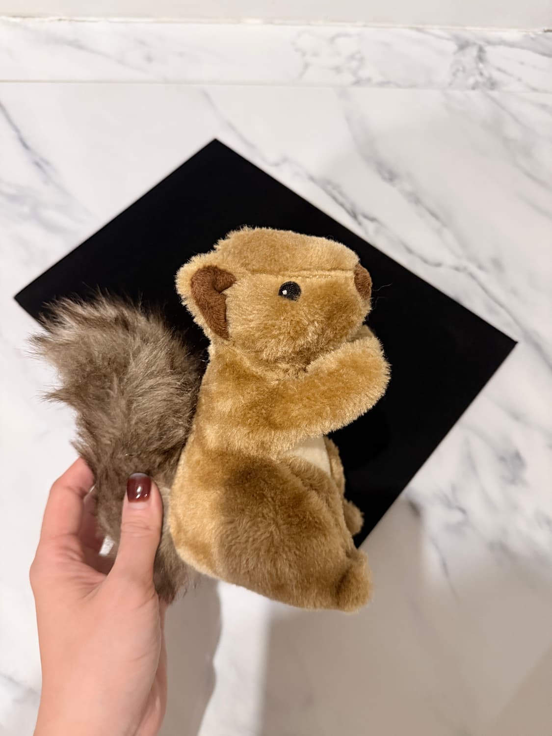 디스커버리 다람쥐 반려견/묘 장난감 인형(삑삑소리남) 상품이미지1