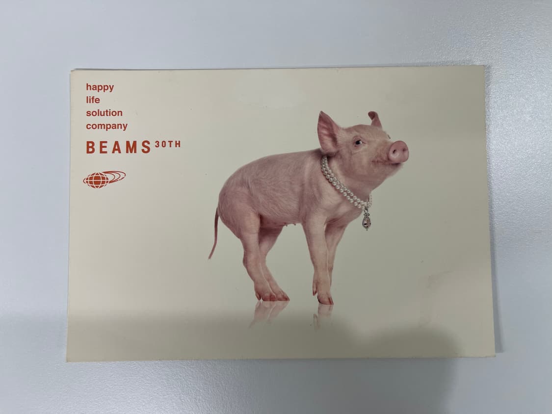 빔즈 30주년 기념 한정 아트 포토 Beams AD2006 상품이미지3