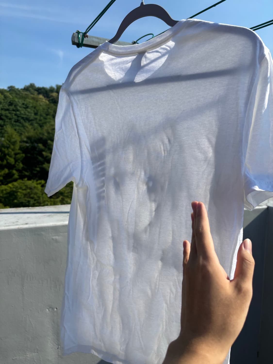panchiko official t shirt 상품이미지3