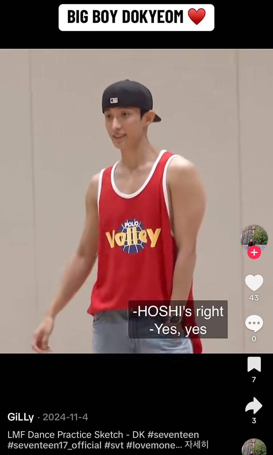 Polo 세븐틴 도겸 원우 폴로 와플 니트 메쉬 발리 탱크탑 상품이미지5