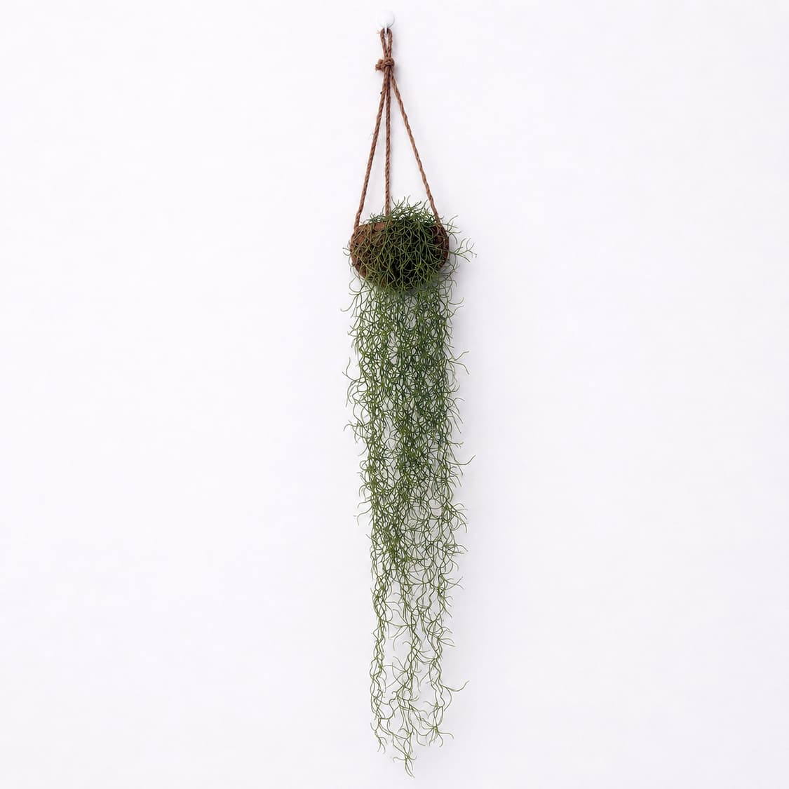 Tillandsia Hanging Plant (조화) 상품이미지1