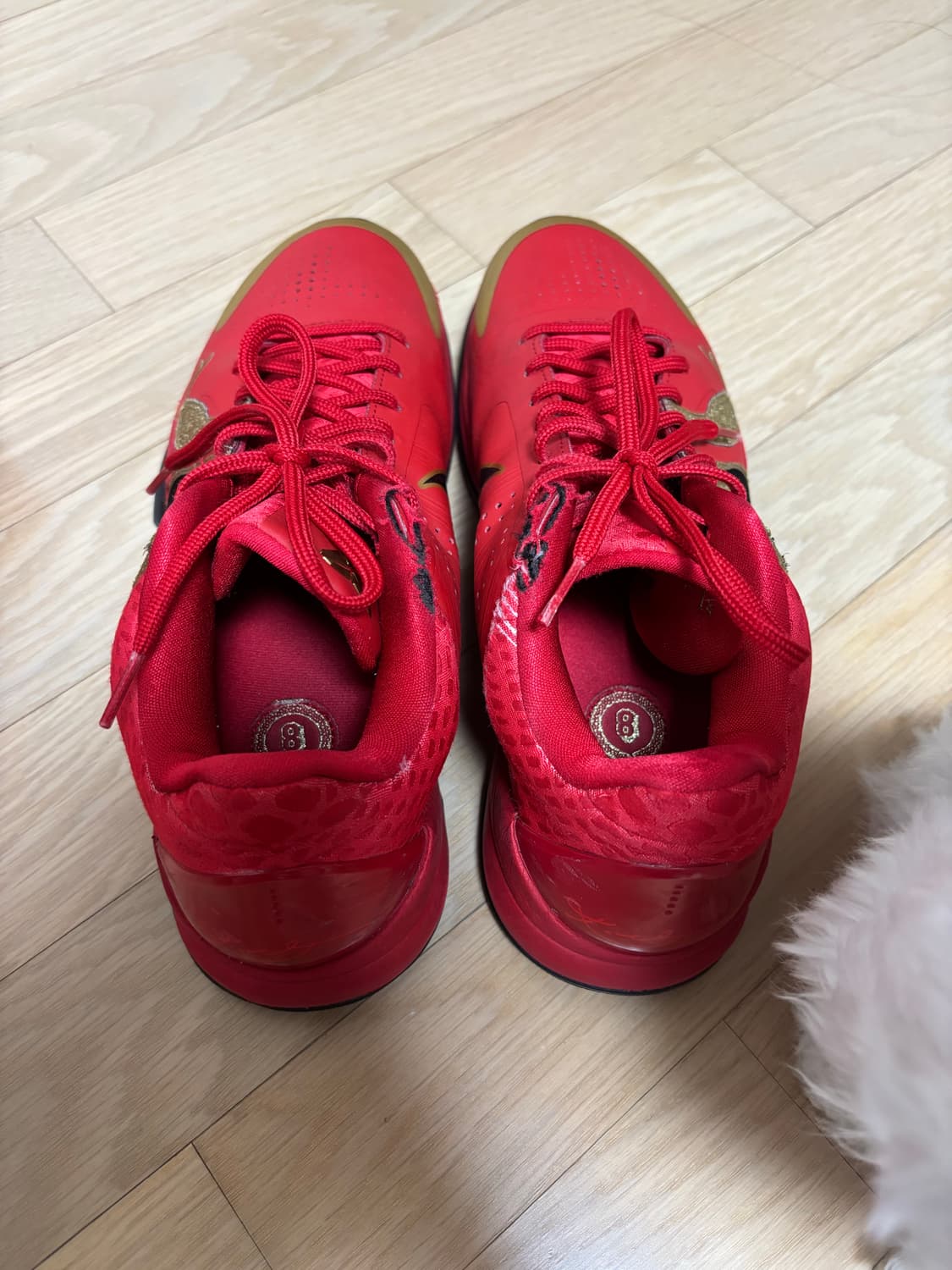 나이키 코비5 프로트로 레드(275 사이즈) 상품이미지5