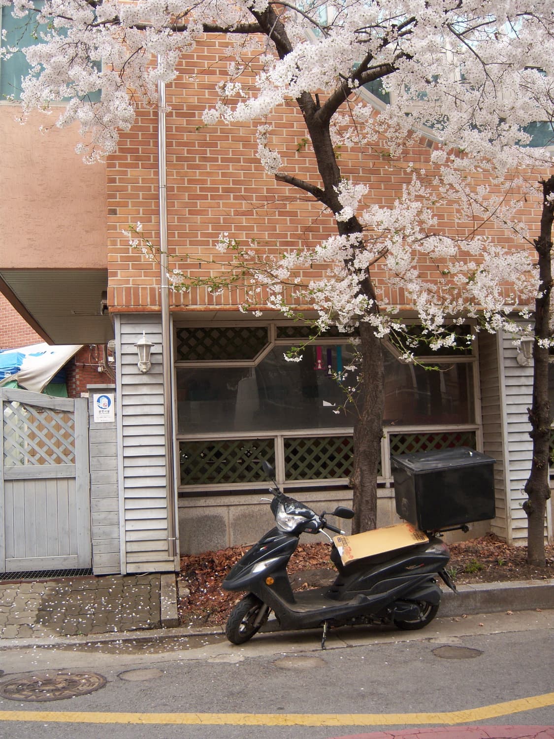 코닥 이지쉐어 kodak easyshare V1003 🔆작례 상품이미지2