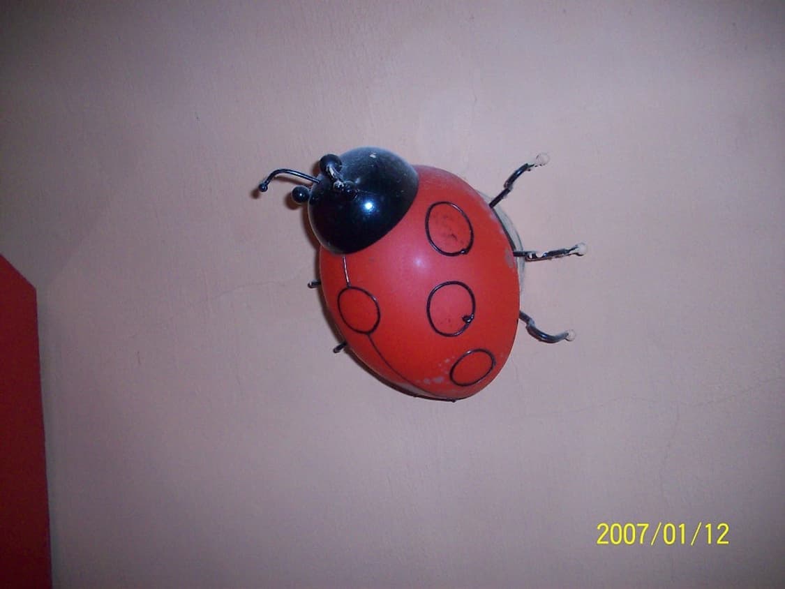 코닥 이지쉐어 C613 펄 화이트 Kodak Easyshare C613  상품이미지8