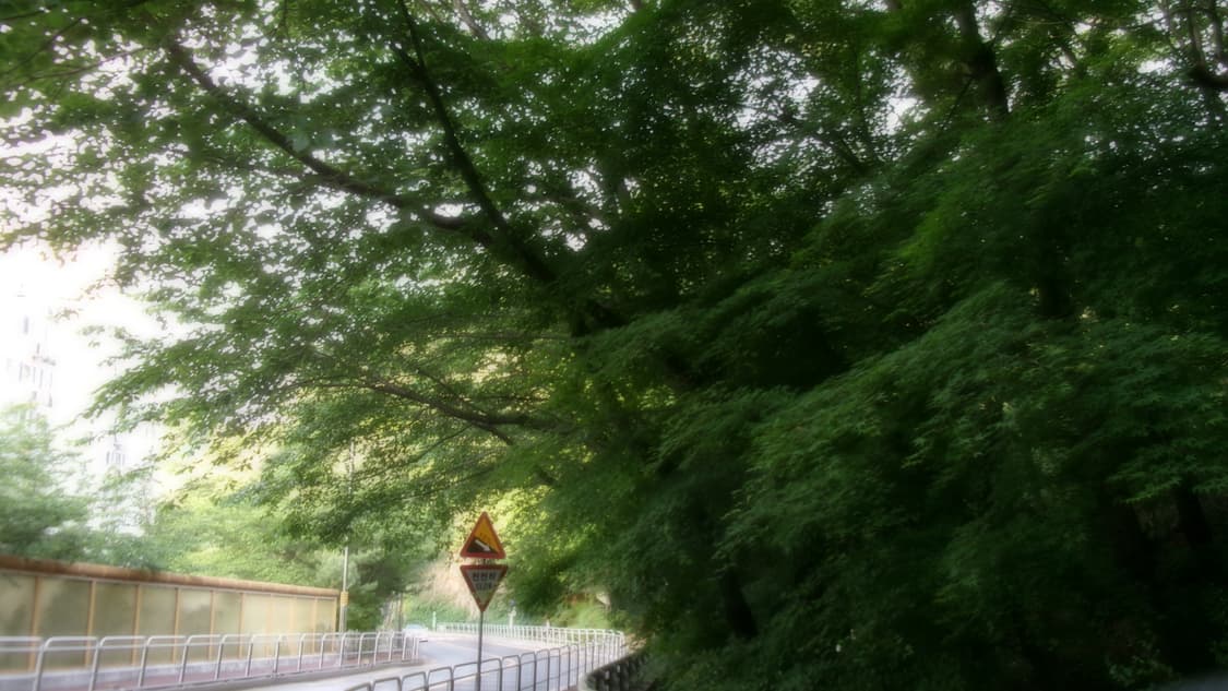 작례) 코닥 fz55  상품이미지5