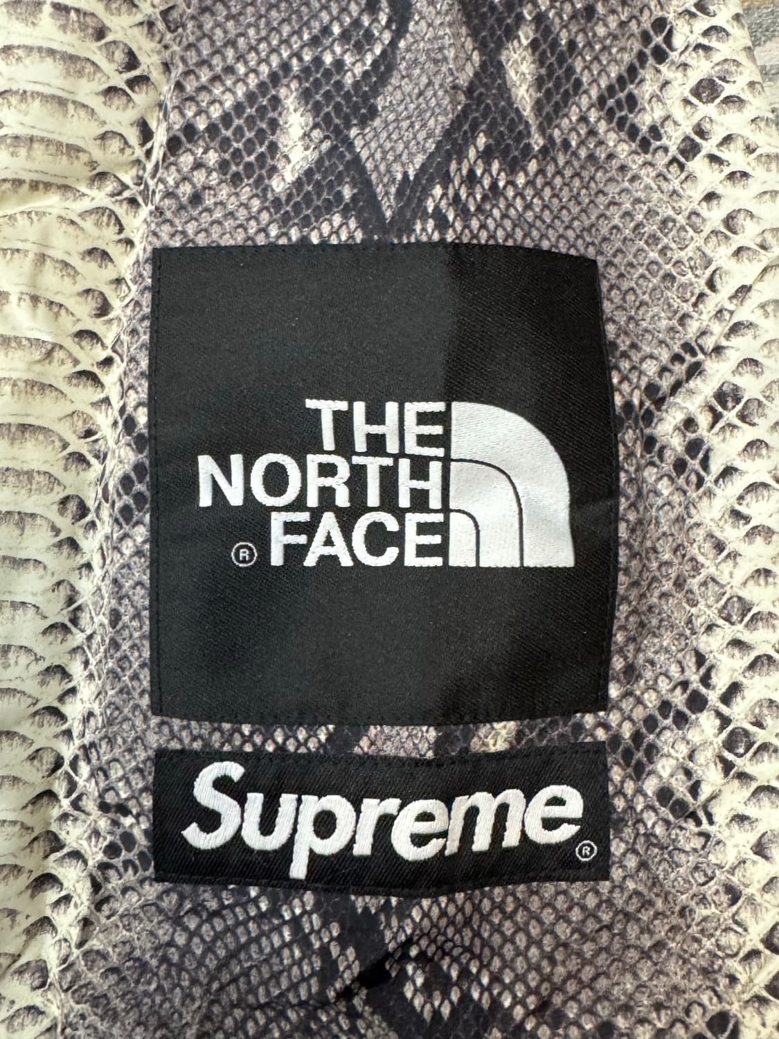 [L] 슈프림 x 노스페이스 스네이크스킨 테입드 심 코치 자켓 블랙 상품이미지5