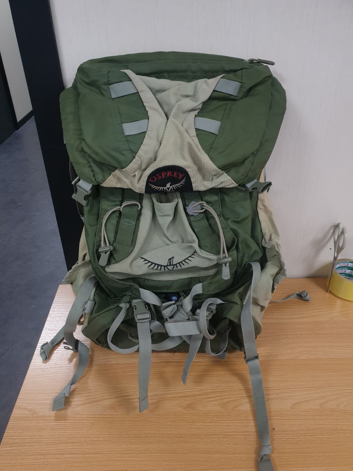 오스프리 정품 캐스트럴 48리터 등산배낭 팝니다 상품이미지1