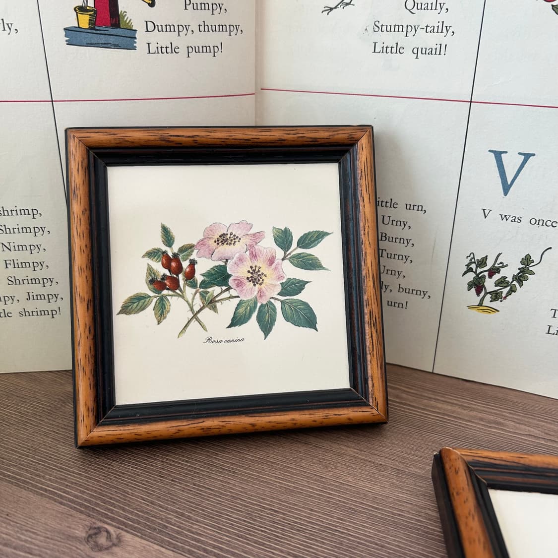 빈티지 보태니컬 꽃 액자 세트  상품이미지7