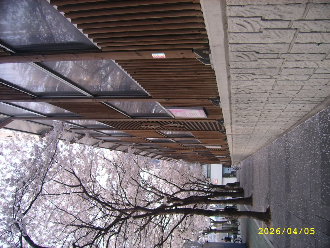 삼성케녹스q2디카 상품이미지8