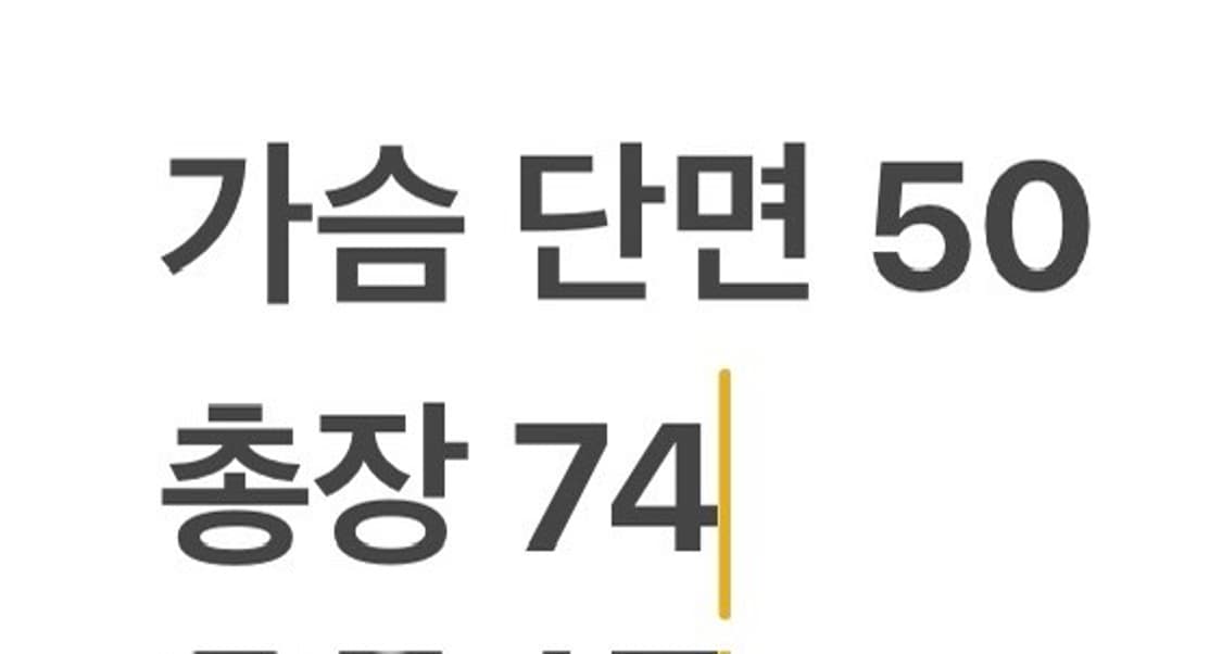 [정품/XS] 피엘라벤 긴팔 체크 셔츠 b16 상품이미지9