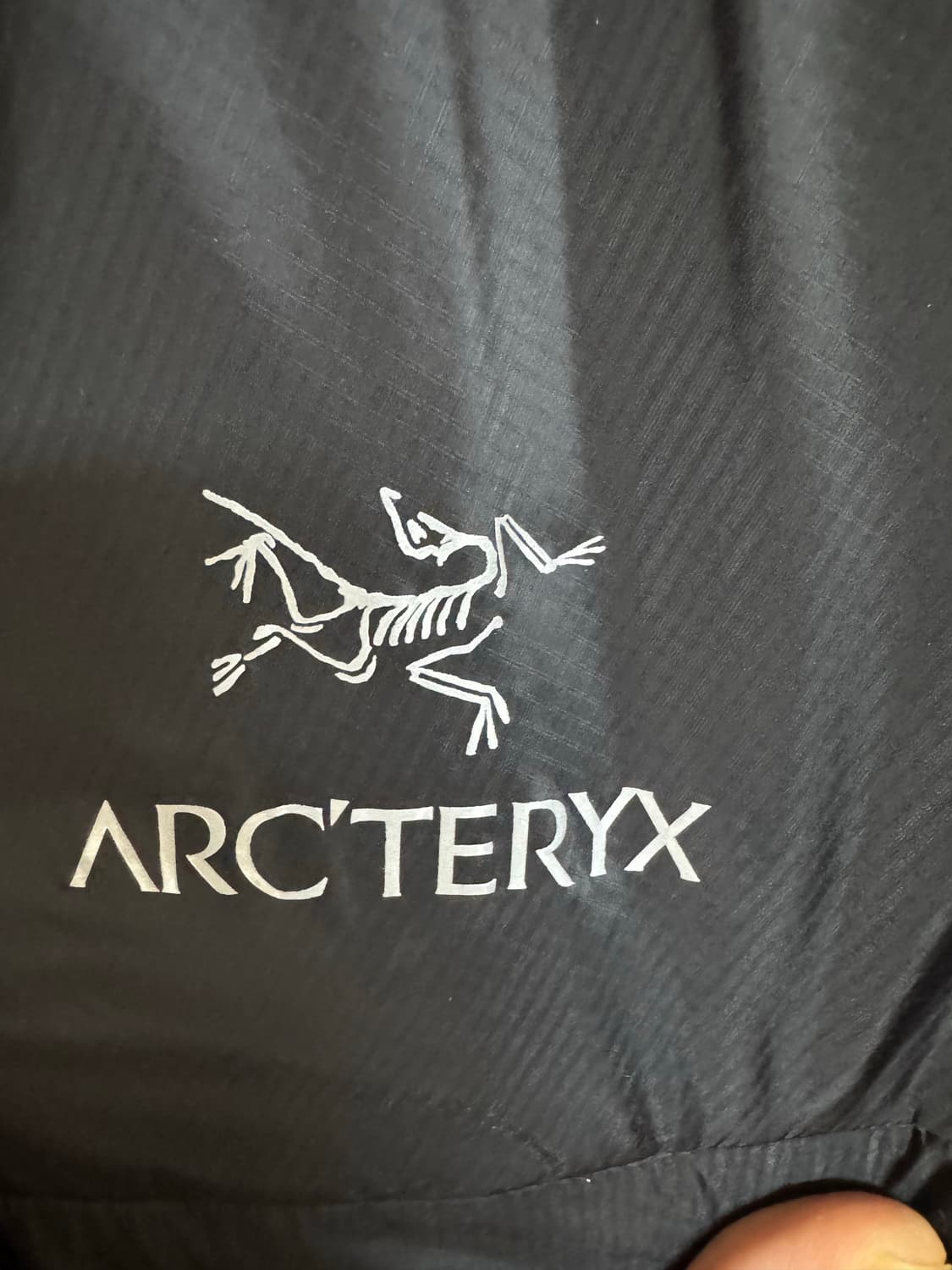 L 아크테릭스 누클리아이 FL 후디 /경량 패딩 상품이미지2