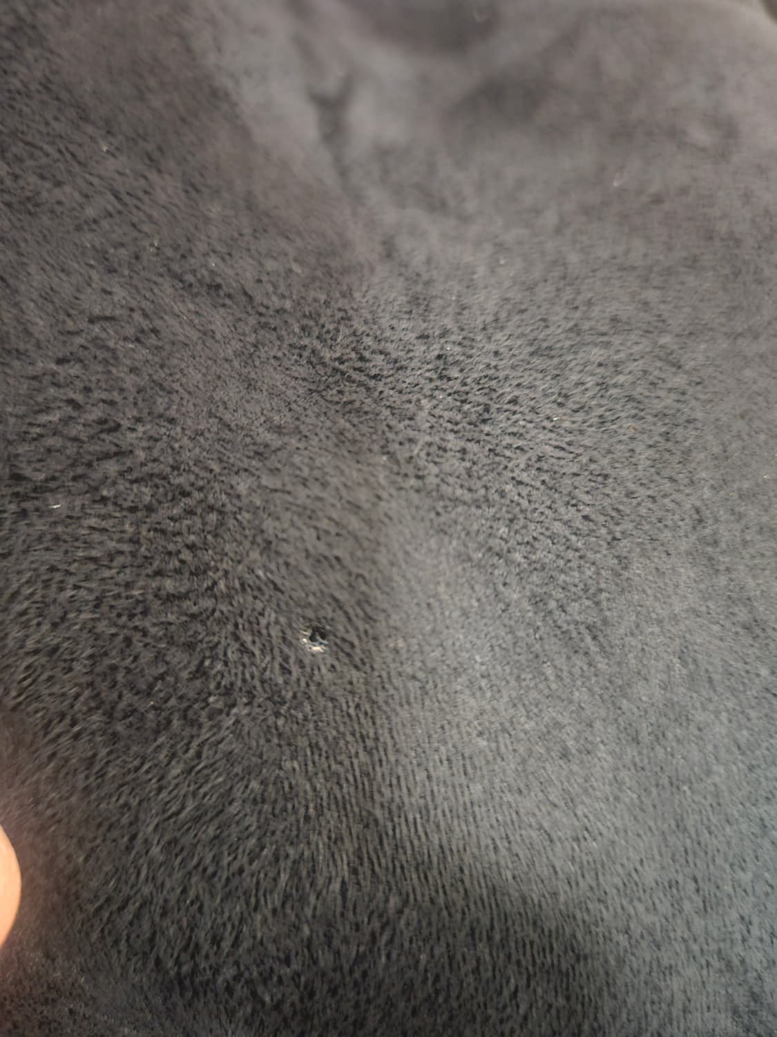 (S)DKNY 양털 무스탕자켓 상품이미지8