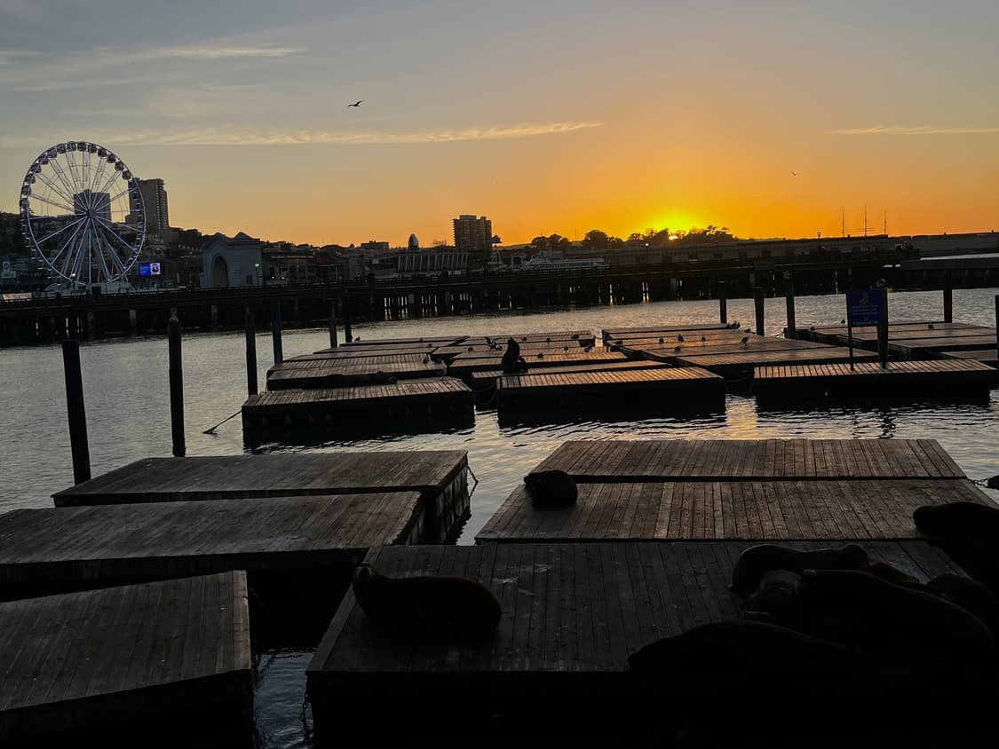 (작례!)Panasonic Lumix DMC-TZ20 디카 상품이미지4