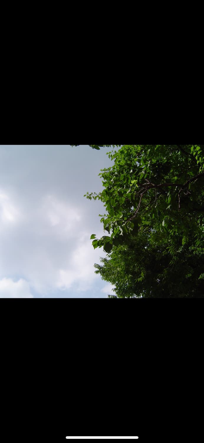 소니 DSC-P72디카 상품이미지10