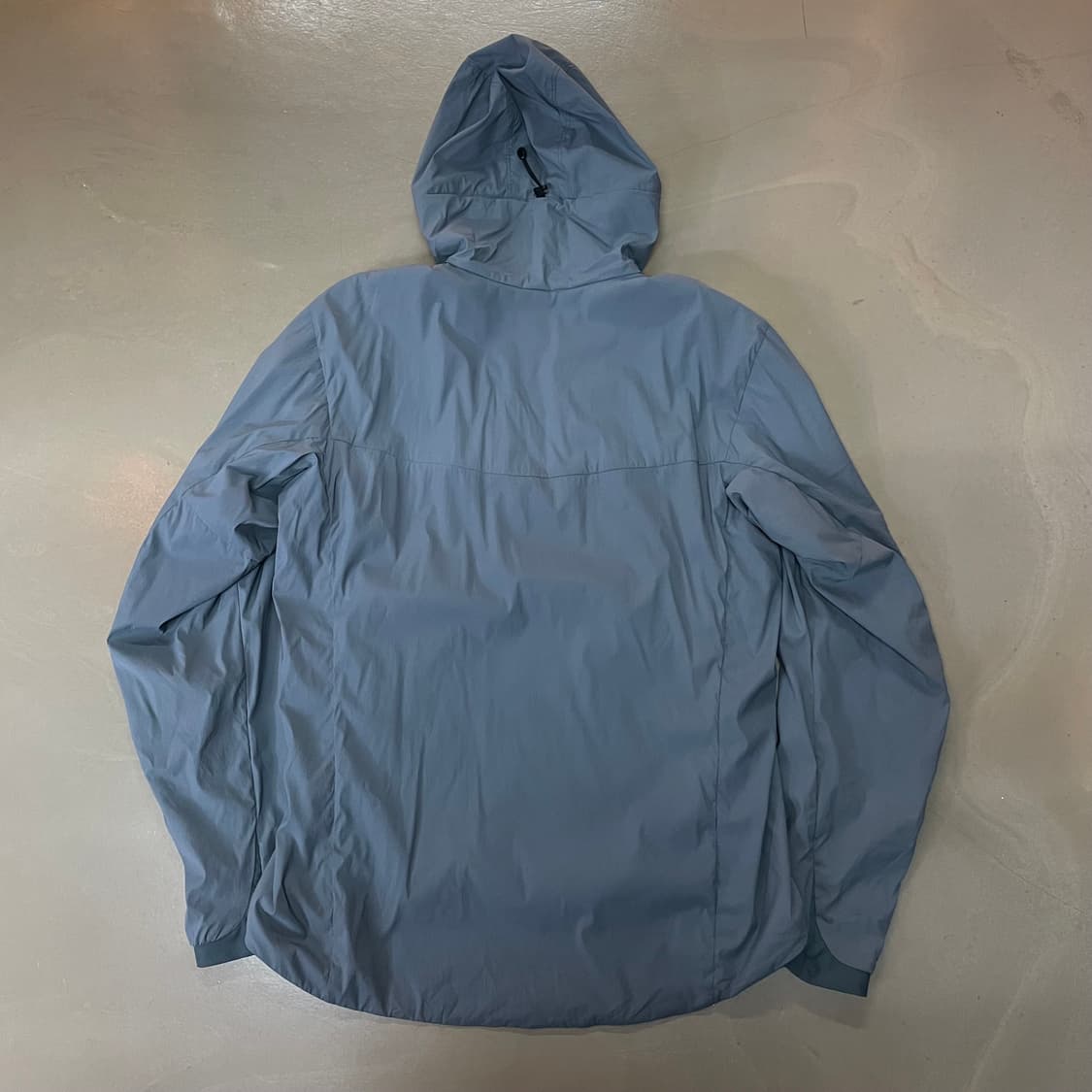 아크테릭스 프로톤FL 후디 프로테우스 L/G 상품이미지2