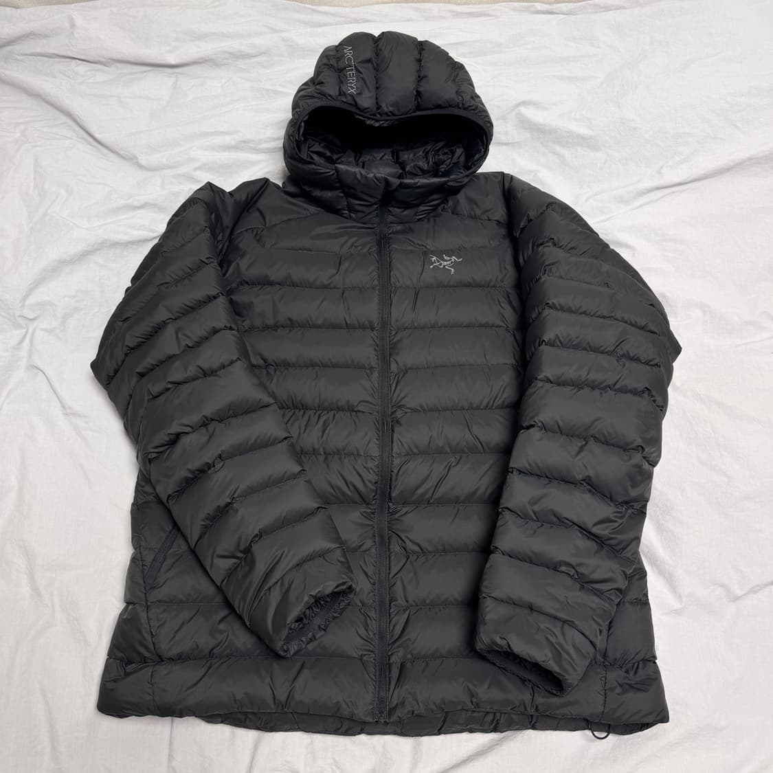 아크테릭스 세륨 후디 상품이미지1