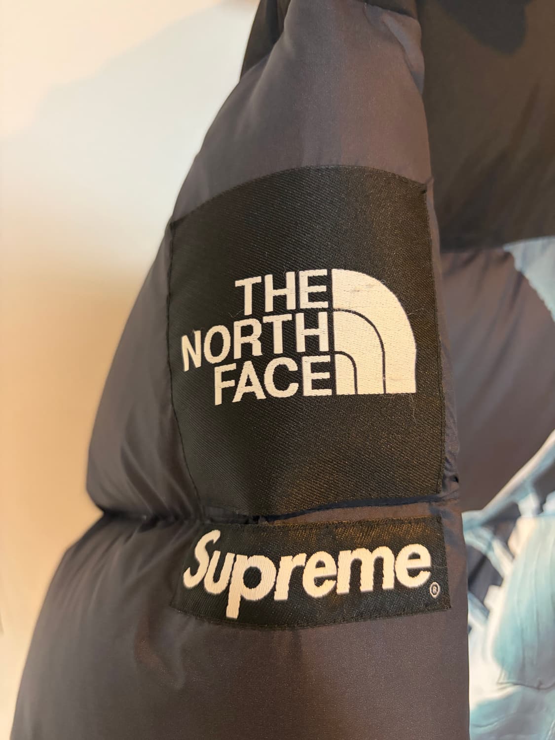 슈프림 노스페이스 자유의 여신상 발토로 패딩 상품이미지4