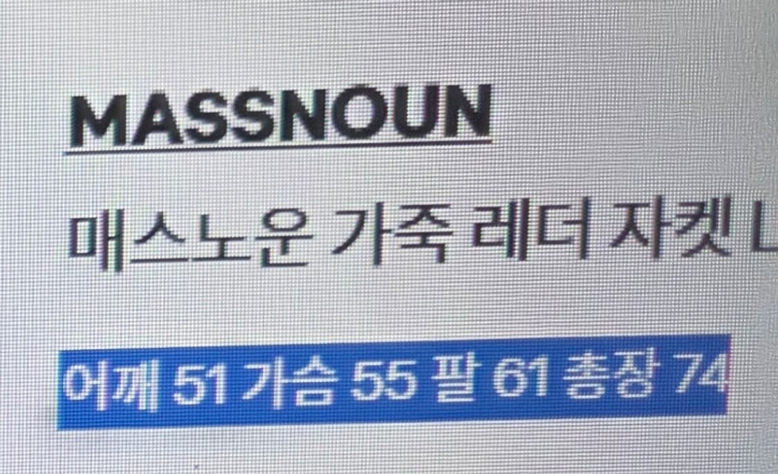 메스노운 램스킨 가죽자켓 한정판 L사이즈 상품이미지4