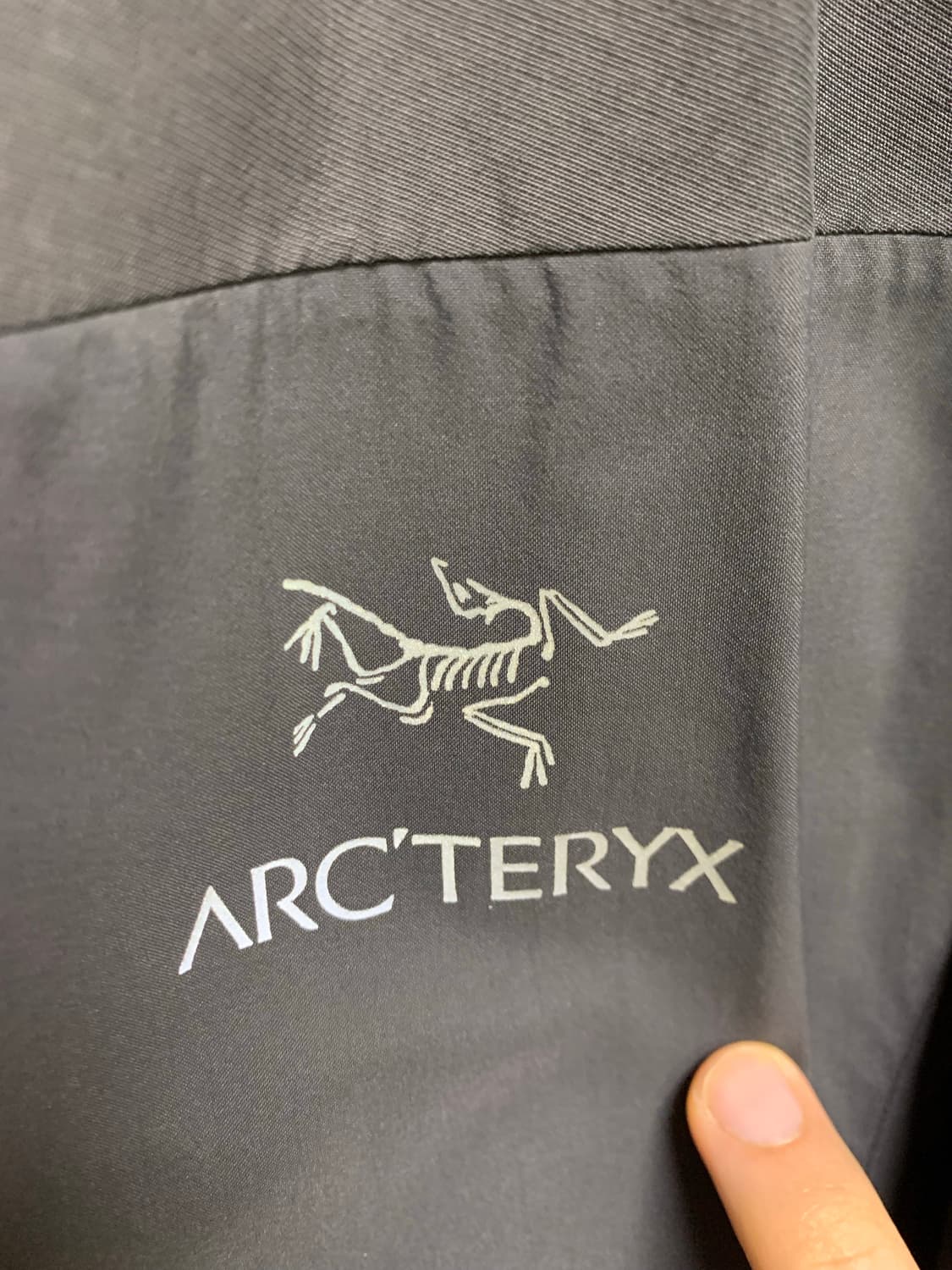 아크테릭스 카파 후디 상품이미지3