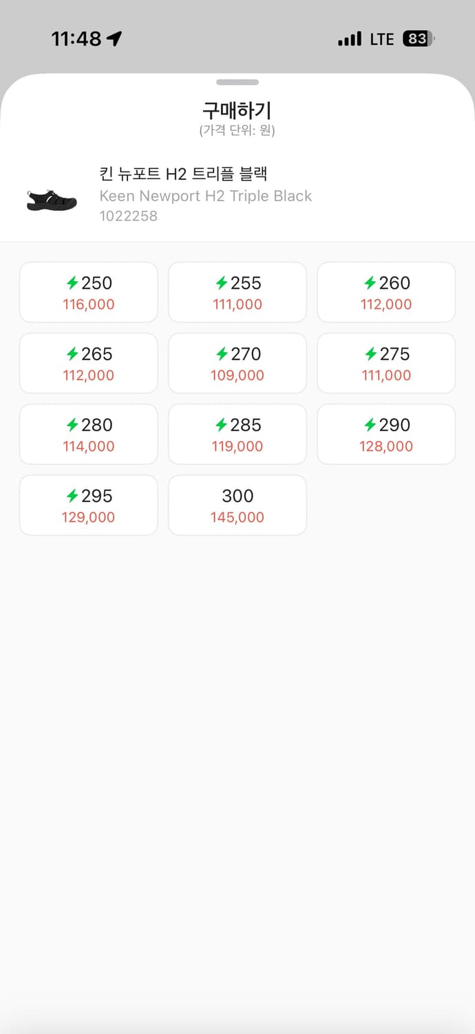 킨 / 뉴포트 H2 / 275 상품이미지6