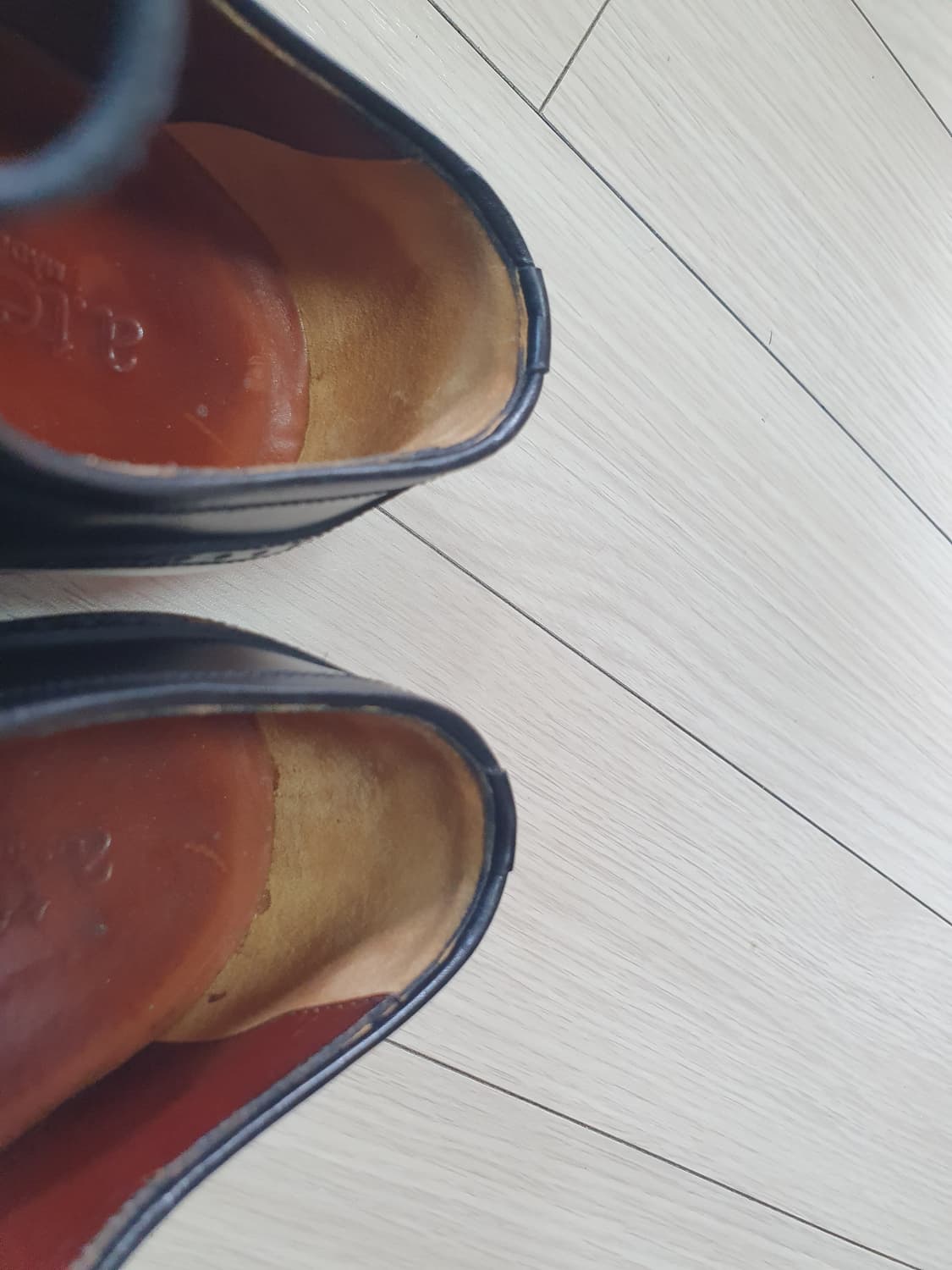 남250테스토니 상품이미지9