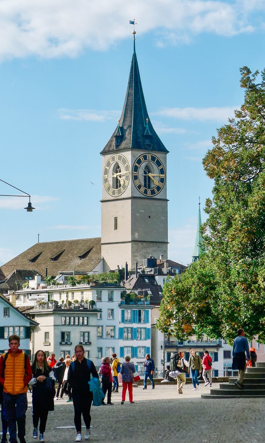 Rollei Compactline 203 (롤라이 콤팩트라인 203) 상품이미지10