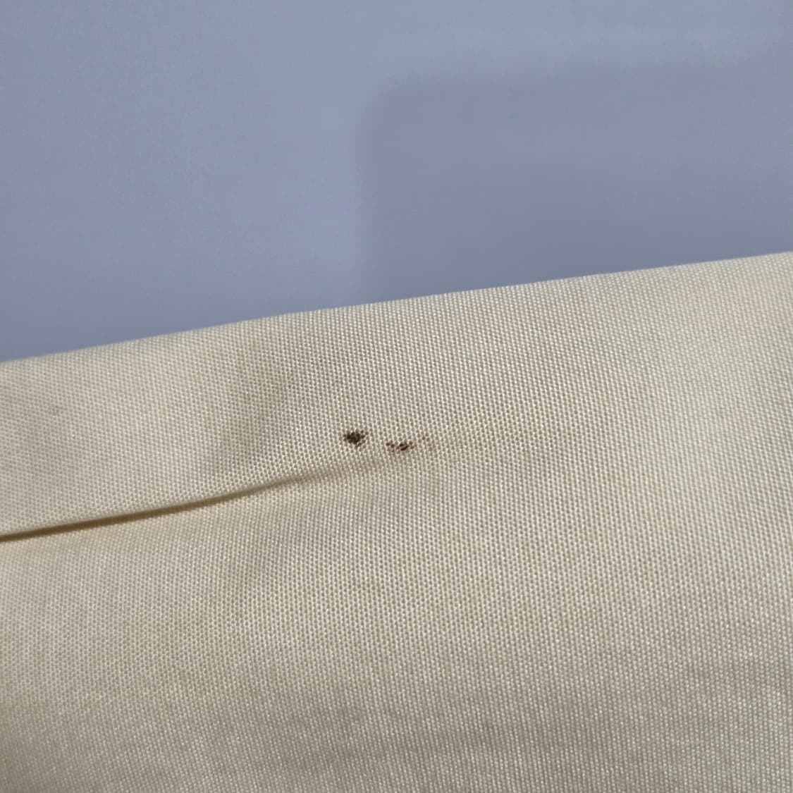 폴로랄프로렌 버튼다운 솔리드셔츠 95 상품이미지6