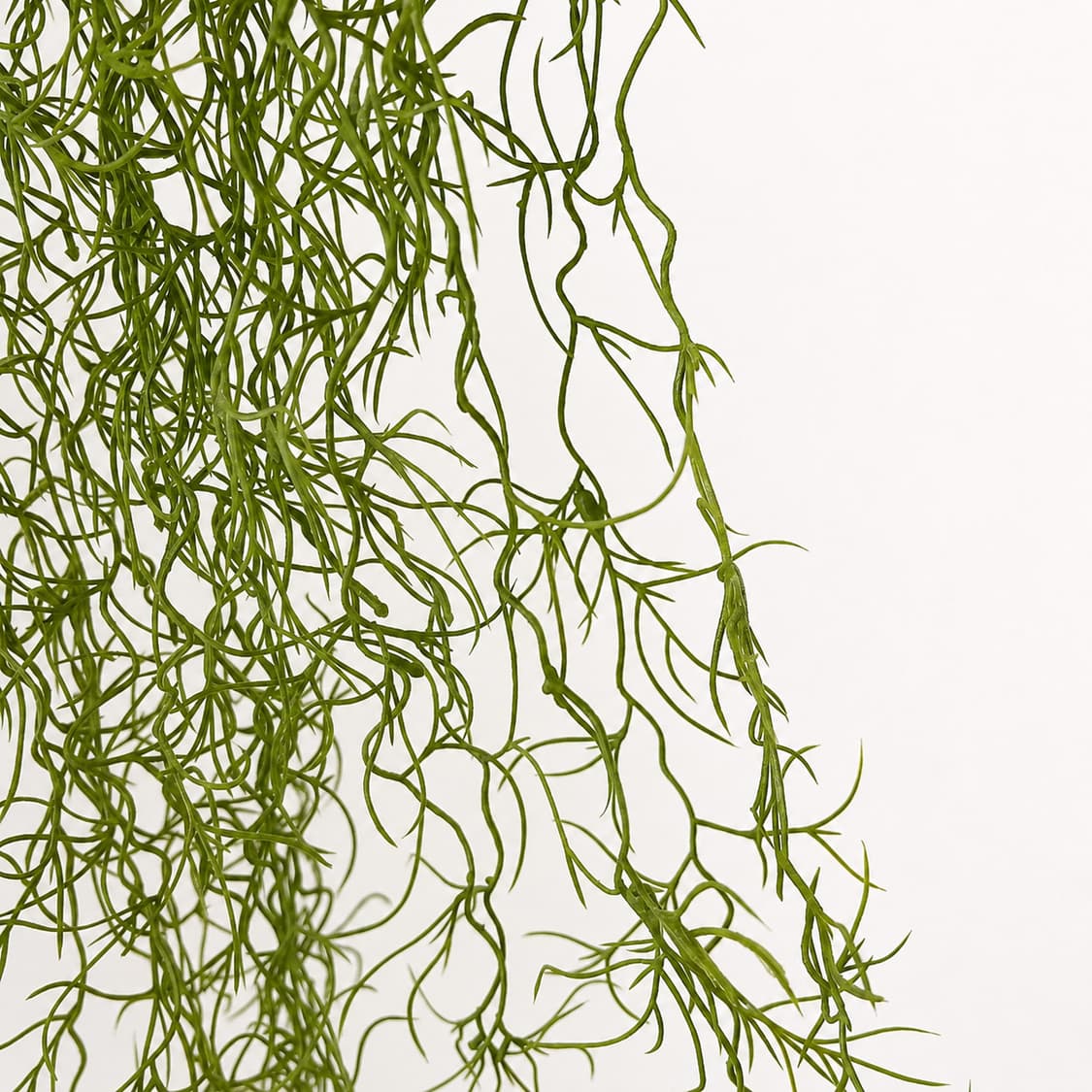 Tillandsia Hanging Plant (조화) 상품이미지3