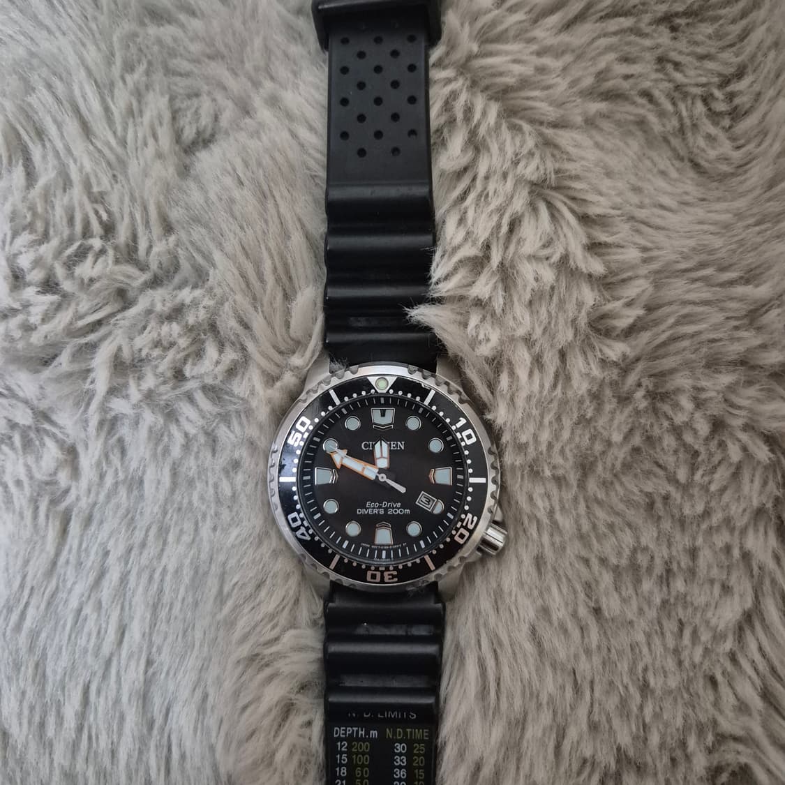 시티즌 프로마스터 에코드라이브(미니복어교환) 상품이미지2