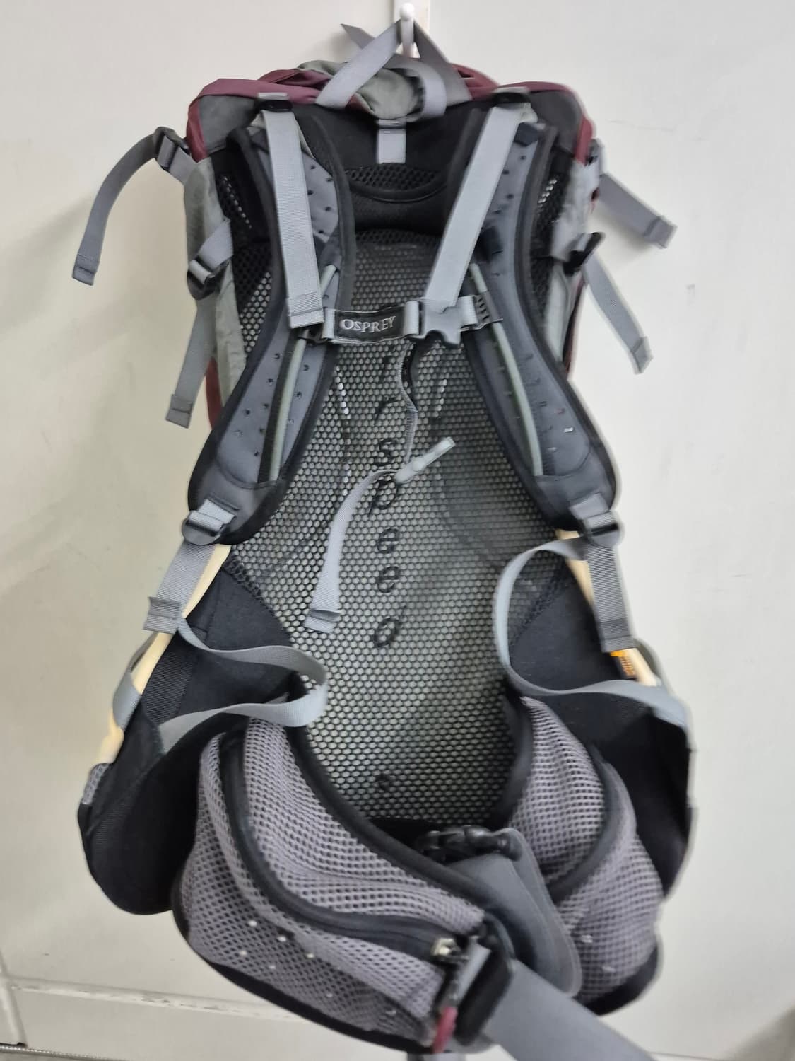 오스프리 아우라 (여성용/50L) 상품이미지4