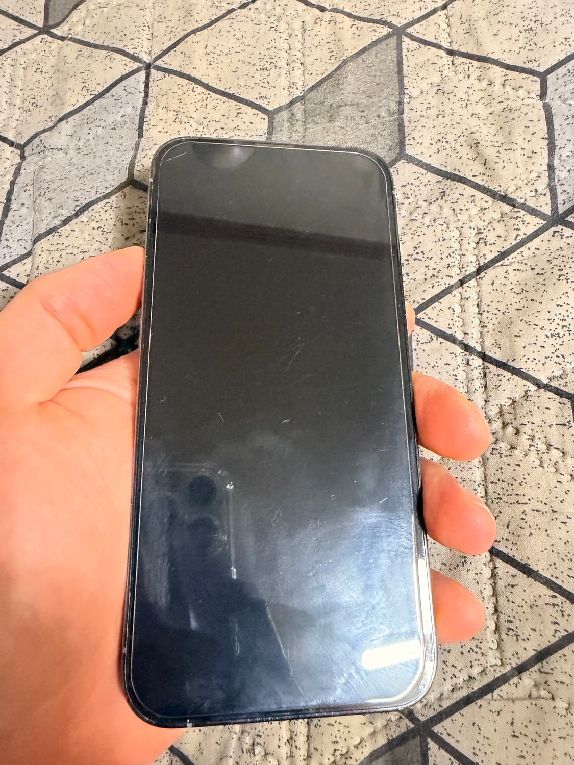 애플 아이폰 13 프로 시에라블루 상품이미지2