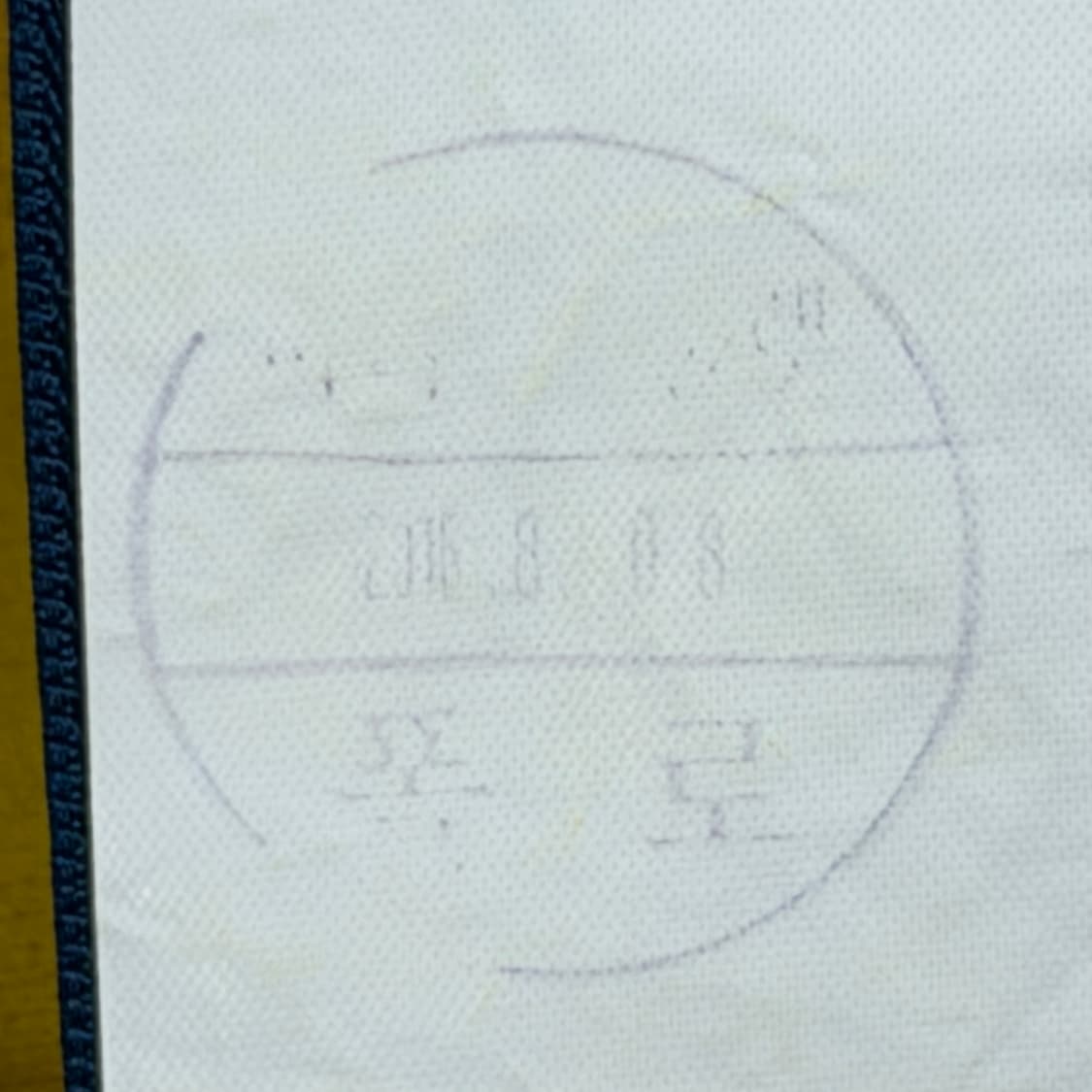 폴로 랄프로렌 여성 PK 카라 반팔티 옐로우 S 상품이미지6