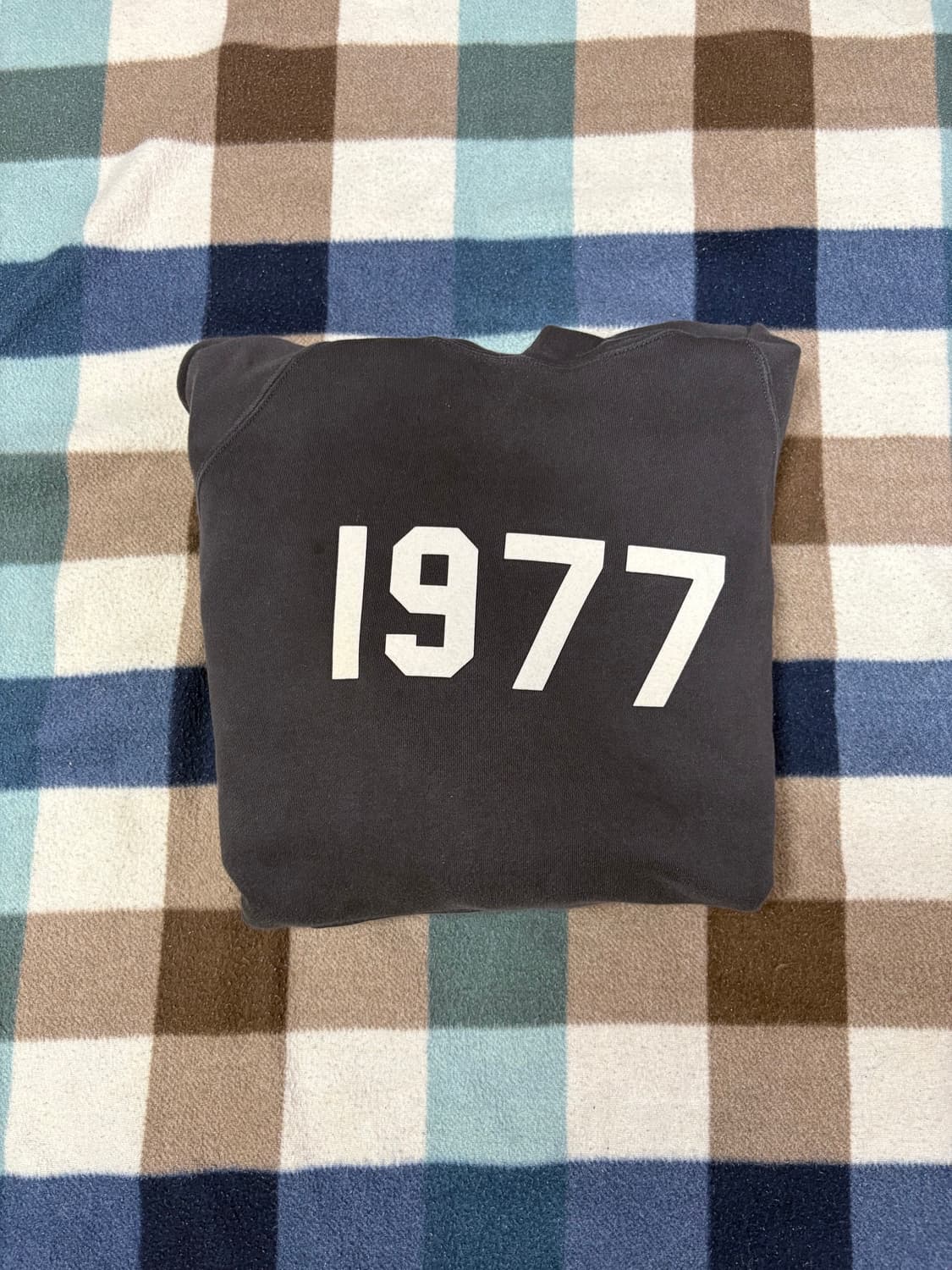 에센셜 1977 후디 아이언-22s M 상품이미지1