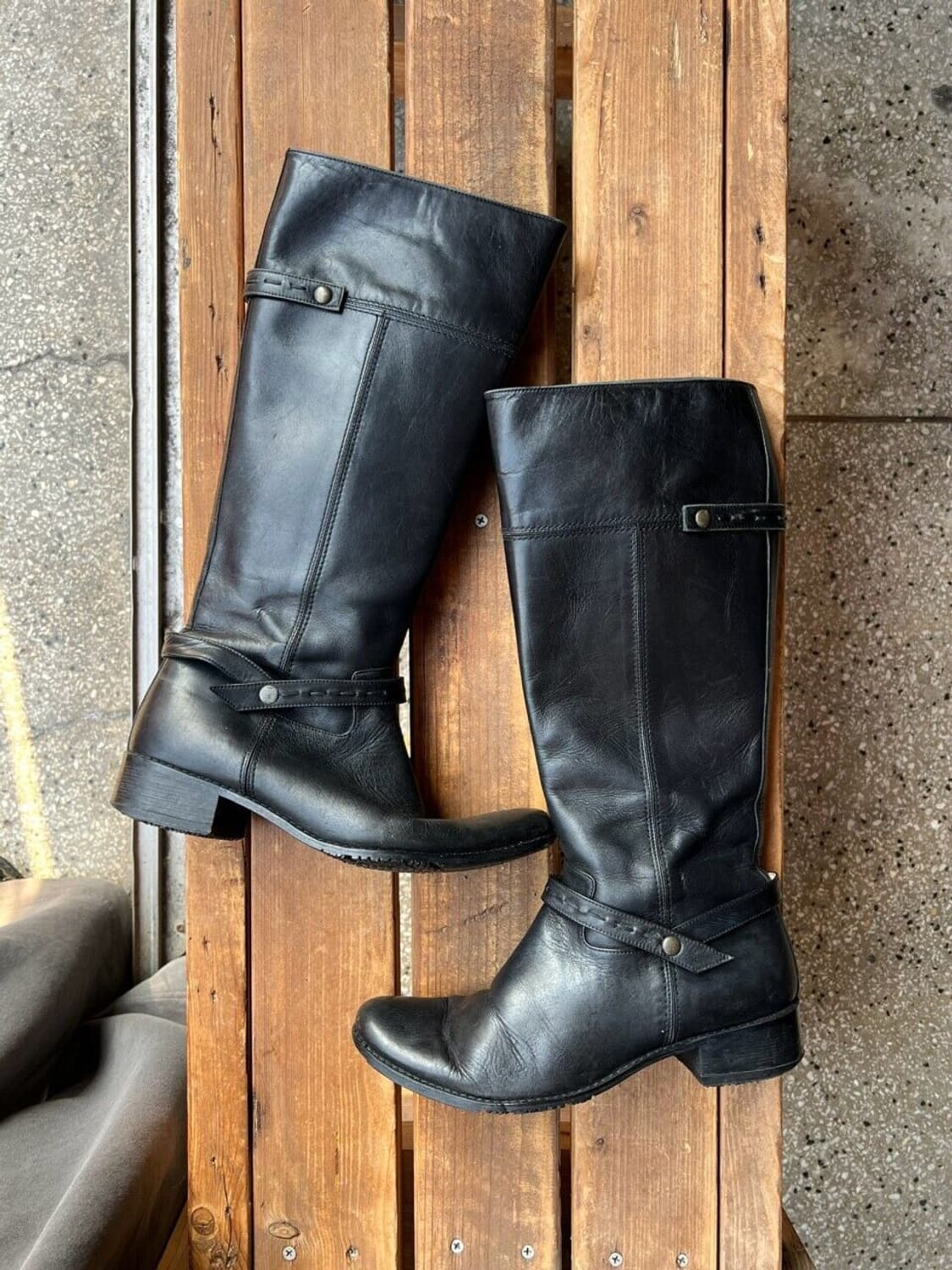 Regal 상품이미지1