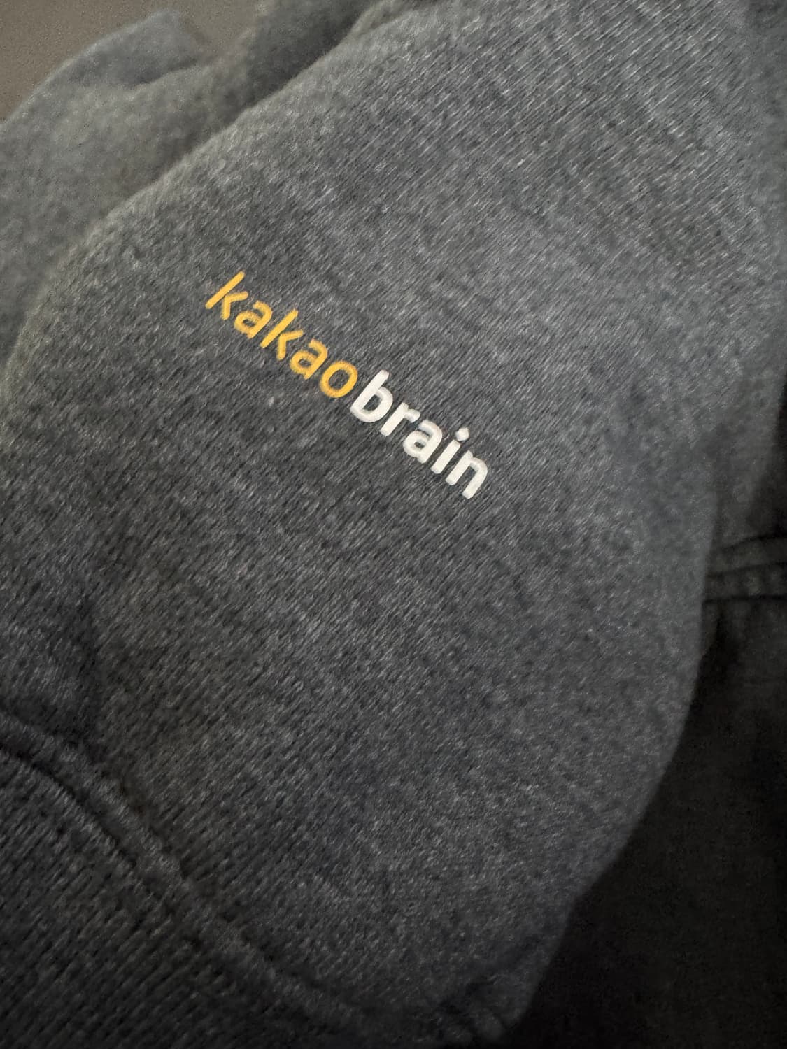 챔피온 X 카카오 빅 사이즈 뒷 프린팅 기모 후드집업 XL ~ 2XL 상품이미지4