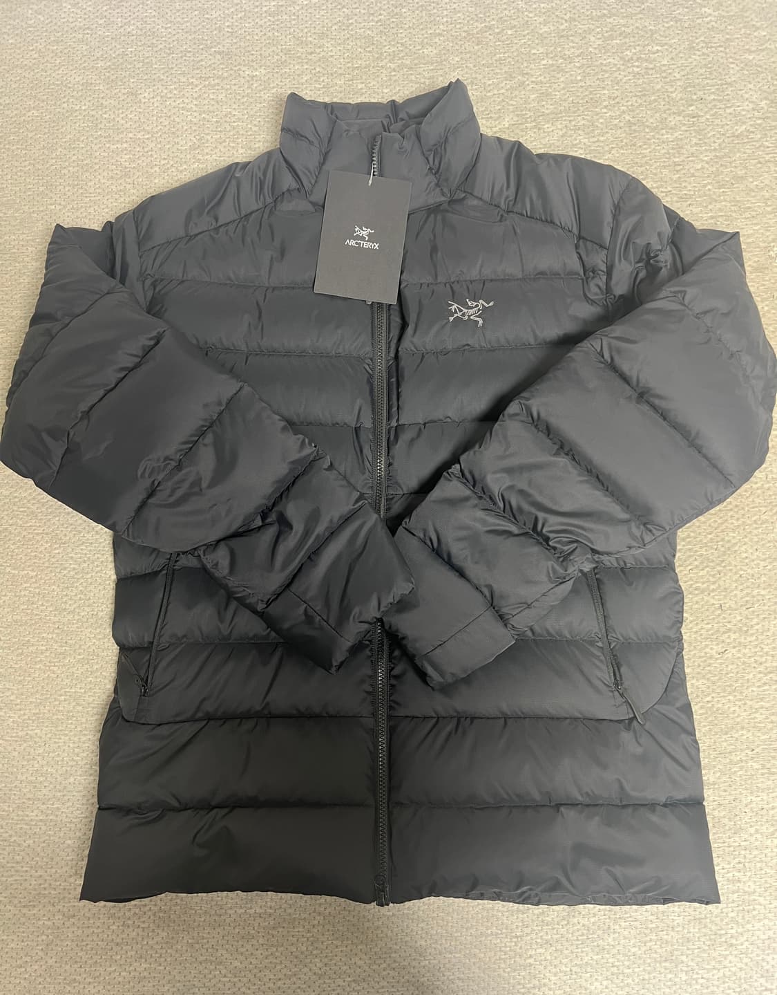 아크테릭스 토륨 논후디 L 사이즈 상품이미지1