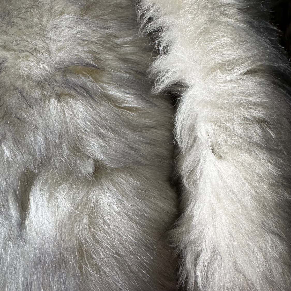 [M~L] Glycine Kinoshita 양가죽 양털 후드 퍼 코트 상품이미지7