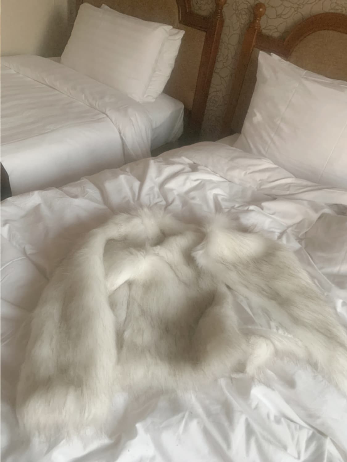 스젠 퍼자켓 Rokina Eco Fur Jacket (White) 애즈온 상품이미지5