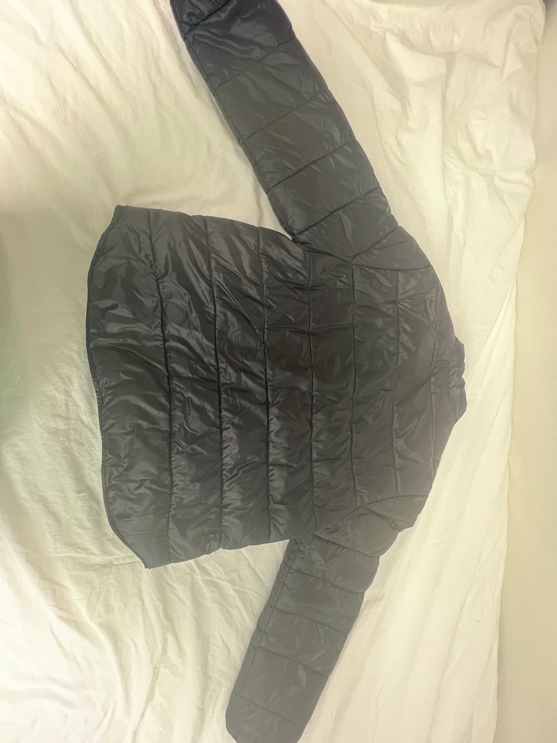 자라 경량 패딩 상품이미지4