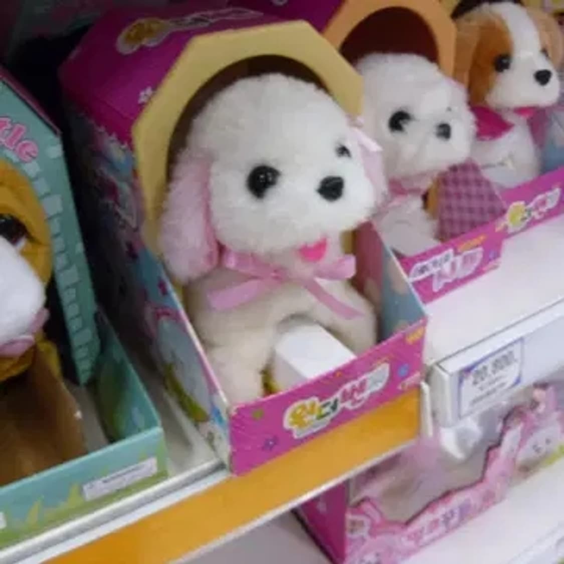 삼성 vluu pl20 디카 (빈티지 카메라) 상품이미지10