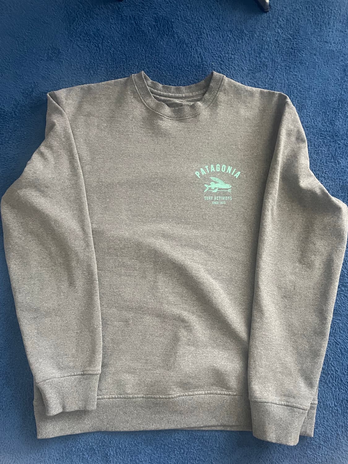 파타고니아 맨투맨 상품이미지1