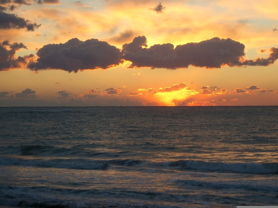 Pentax optio s 빈티지 디카 풀 박스 상품이미지3