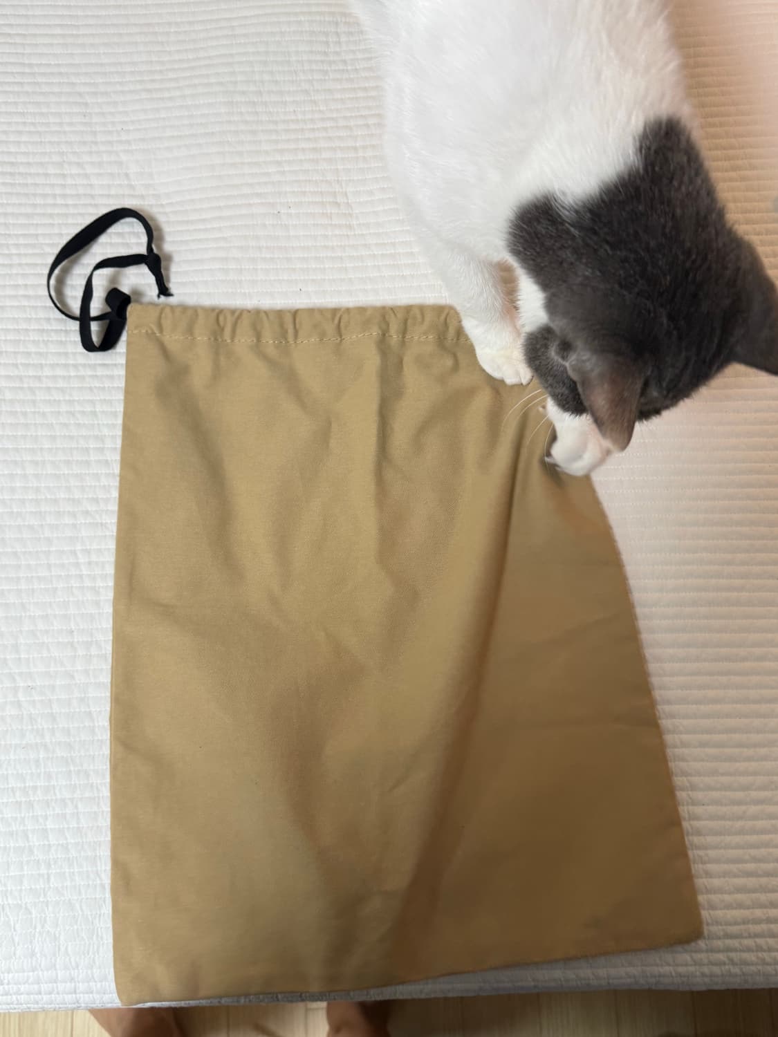 베이프 더스트백 상품이미지2