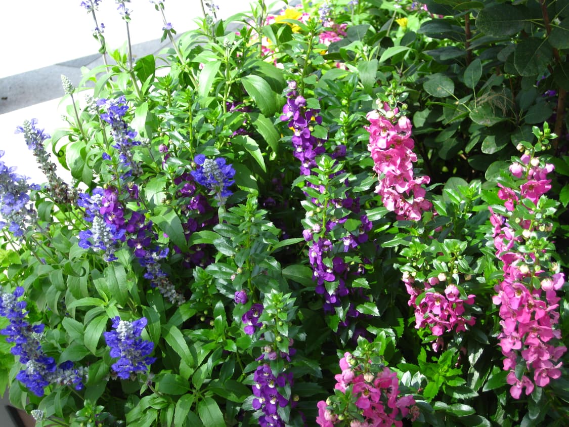 작례⭕)캐논 익서스 90 is 디카 Canon IXUS 90 IS 풀박스 상품이미지9