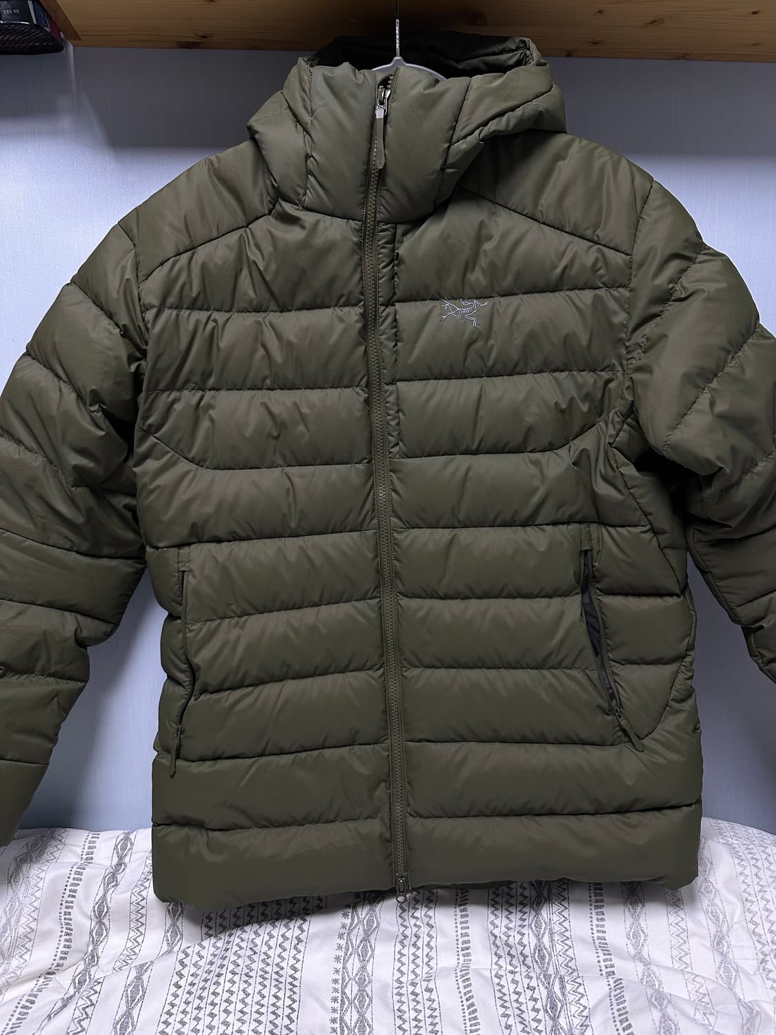 아크테릭스 토륨 후디 L 상품이미지1