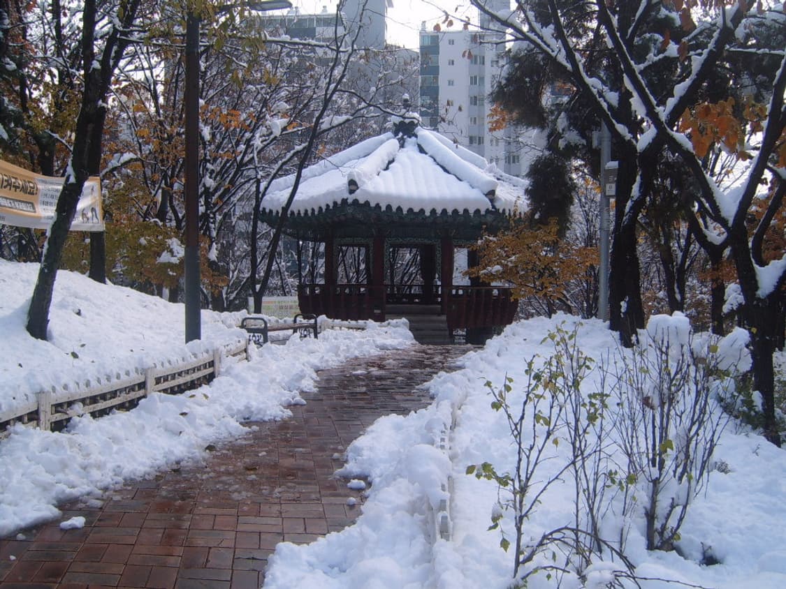 삼성 케녹스 d7 디카 (빈티지 카메라) 상품이미지9