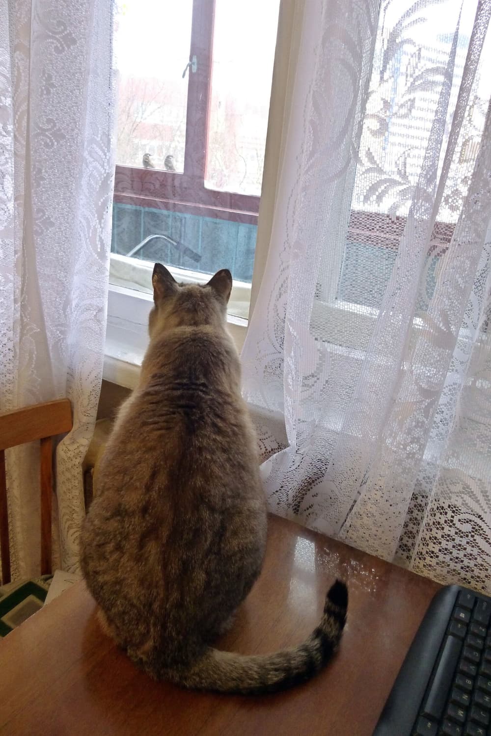 작례⭕️ | 초레어템‼️ 파나소닉 루믹스 DMC-SZ7 블랙 디지털카메라 상품이미지9