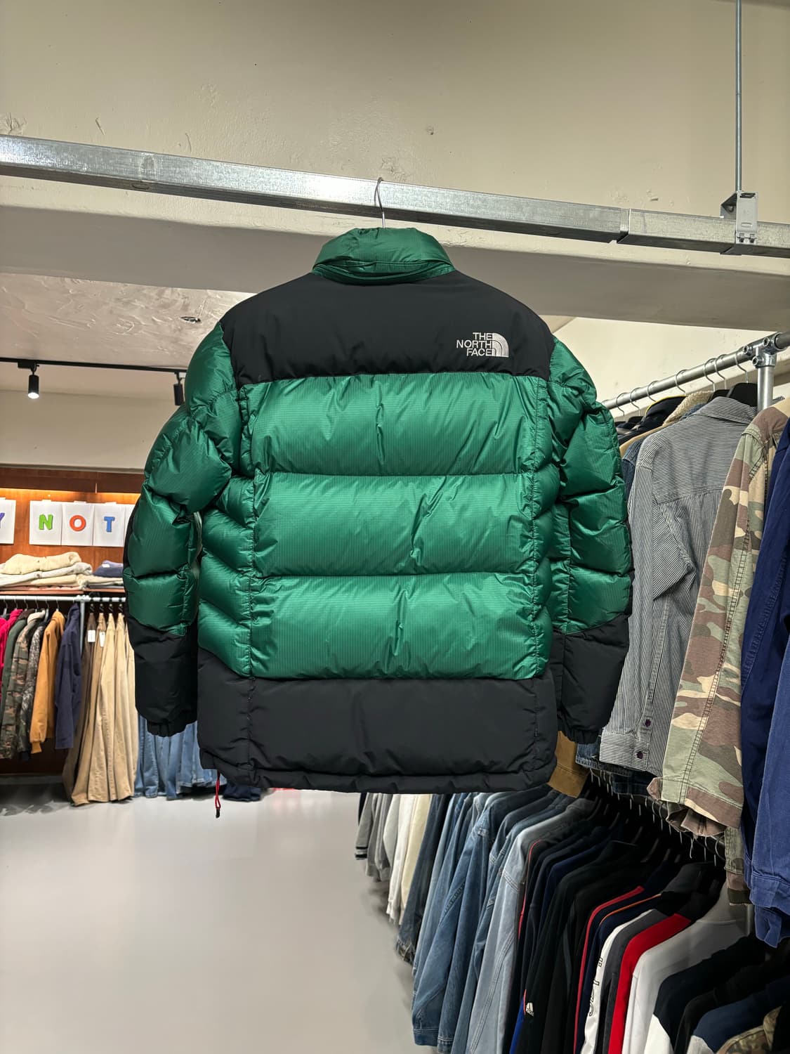 노스페이스 써밋 윈드스토퍼 700 다운 패딩 상품이미지5